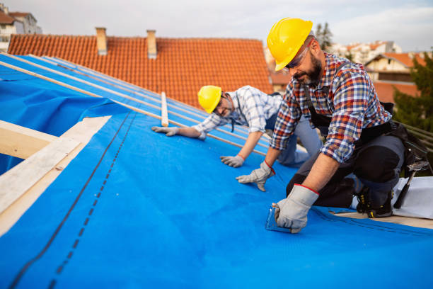 Best Metal Roofing Contractor  in Collinsville, VA