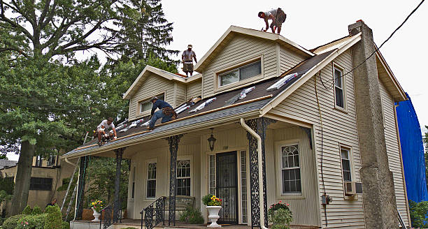Best Affordable Roof Replacement  in Collinsville, VA