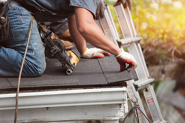 Best Roof Repair Services  in Collinsville, VA
