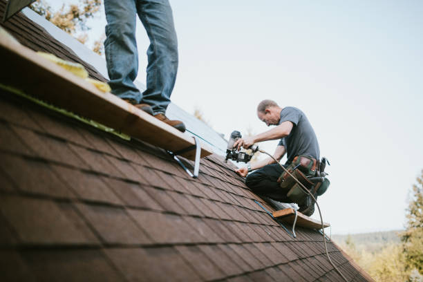 Best Storm Damage Roof Repair  in Collinsville, VA